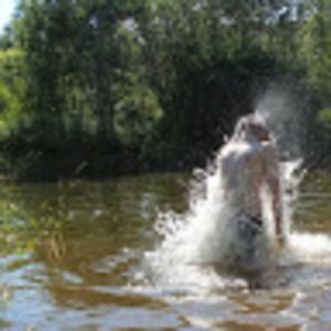 Meet your Posher, Brad